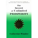 The Secret of Unlimited Prosperity