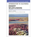 Introduction to California Desert Wildflowers: Volume 74