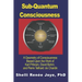 Sub-Quantum Consciousness: A Geometry of Consciousness Based Upon the Work of Karl Pribram, David Bohm, and Pierre Teilhard De Chardin