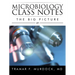 Microbiology Class Notes: The Big Picture
