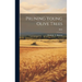 Pruning Young Olive Trees; B348
