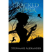 The Cracked Slipper