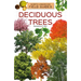 Deciduous Trees