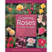 Growing Roses in Cold Climates