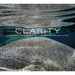 Clarity: A Photographic Dive Into Lake Tahoe's Remarkable Water