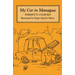 My Car in Managua