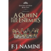 A Queen for her Enemies - A Historical Novel