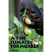 A Fine Climate for Murder