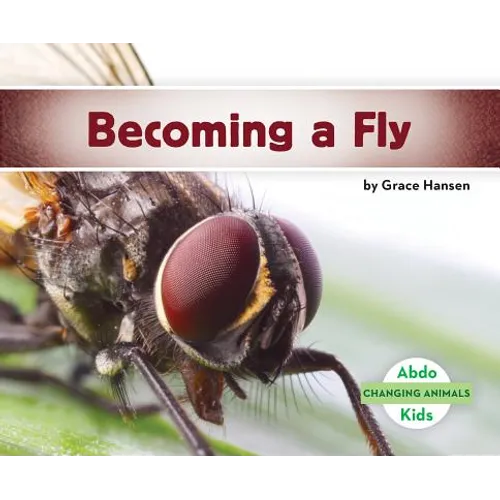 Becoming a Fly