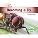 Becoming a Fly
