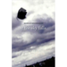 If the Sky Falls: Stories