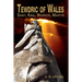 Tewdric of Wales: Saint, King, Warrior, Martyr