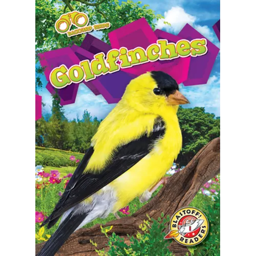 Goldfinches