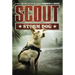 Scout: Storm Dog