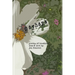 Mayhaps: poems of longing, loss & love