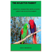 The Eclectus Parrot: Lifestyle, Character, Diets, & Facts about the Eclectus Parrot