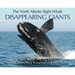 The North Atlantic Right Whale: Disappearing Giants