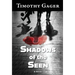 Shadows of the Seen