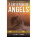 Moorland Forensics - A Gathering of Angels