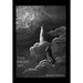 The Night Sky