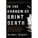 In the Shadow of Saint Death: The Gulf Cartel and the Price of America's Drug War in Mexico