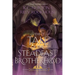 Tale of the Steadfast Brotherhood: World of Heavenfall