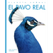 El Pavo Real