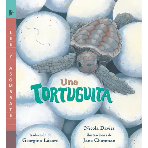 Una Tortuguita: Lee Y Asómbrate