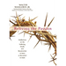 Reliving the Passion: Meditations on the Suffering, Death, and the Resurrection of Jesus as Recorded in Mark.