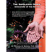 The Supplicate Order: Invocation of the Sacred