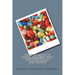 The polipharmacy in the ARV treatment and the toxicity of Paracetamol