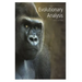 Evolutionary Analysis