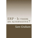 ERP - Is there an alternative?