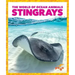 Stingrays
