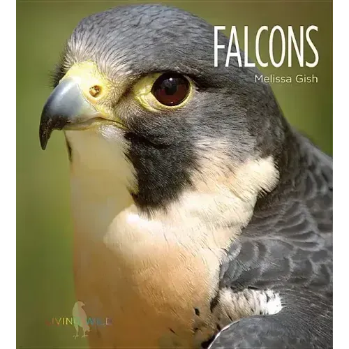 Falcons