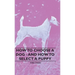 How To Choose A Dog - And How To Select A Puppy