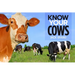 Know Your Cows