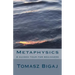 Metaphysics: A guided tour for beginners