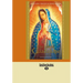 Our Lady of Guadalupe: Devotions, Prayers & Living Wisdom