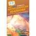 HowExpert Guide to Native American Beadwork: 80 Tips to Learn about the Art and Love of Creating Your Own Native American Beadwork