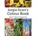 Angie Scarr's Colour Book: Nature's Colours For Polymer Clay