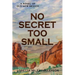 No Secret Too Small: A Novel of Old New Mexico