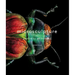 Microsculpture: Portraits of Insects