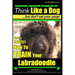 Labradoodle, Labradoodle Training AAA AKC: Think Like a Dog, But Don't Eat Your Poop! Labradoodle Breed Expert Training: Here's EXACTLY How To TRAIN Y