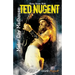 Motor City Madhouse: Going Gonzo with Ted Nugent