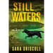 Still Waters: A Riveting Novel of Suspense