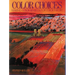 Color Choices: Making Color Sense Out of Color Theory