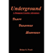 Underground: A Dungeon Crawler Adventure
