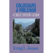 Colossians & Philemon: A Self-Study Guide