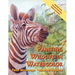 Painting Wildlife in Watercolor